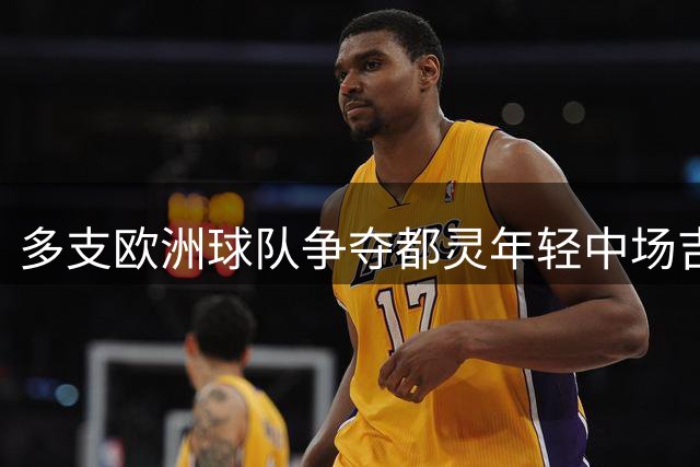 多支欧洲球队争夺都灵年轻中场吉内蒂斯